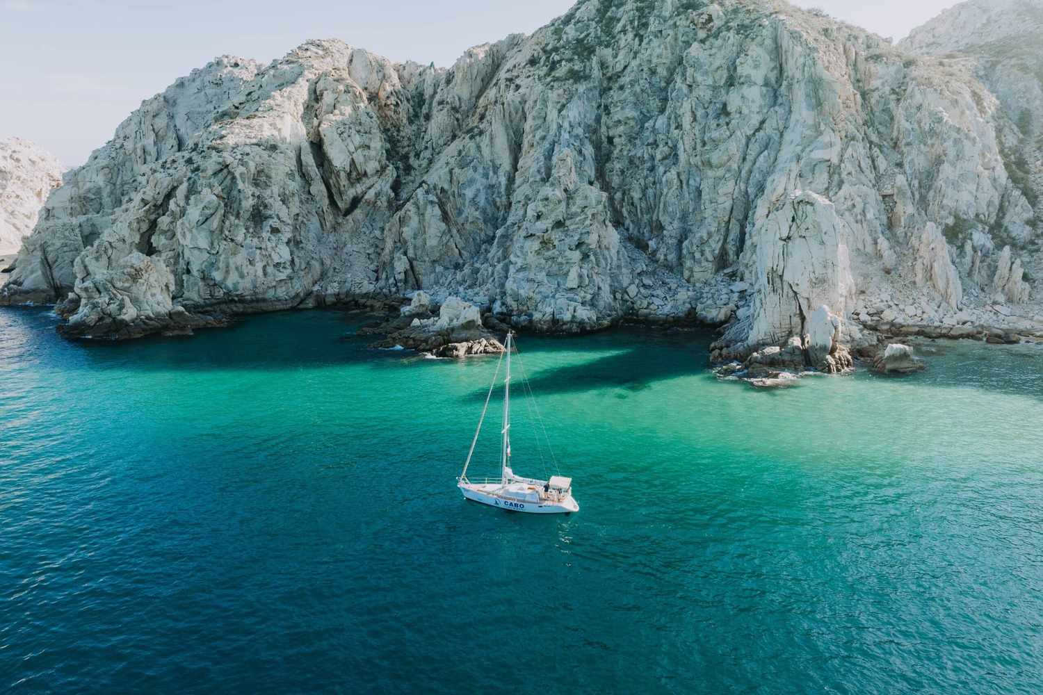 When Is Whale Season In Cabo San Lucas Fishing Charter