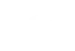Boats Baja - Cabo Fishing Charters Logo