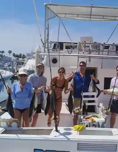 A striped marlin jumping out of the water in Cabo.
