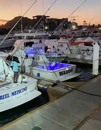 A successful fishing trip in Cabo San Lucas with a beautiful dorado catch.