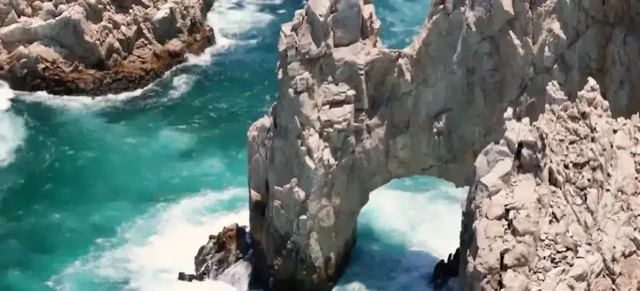 Cabo Fishing Charters