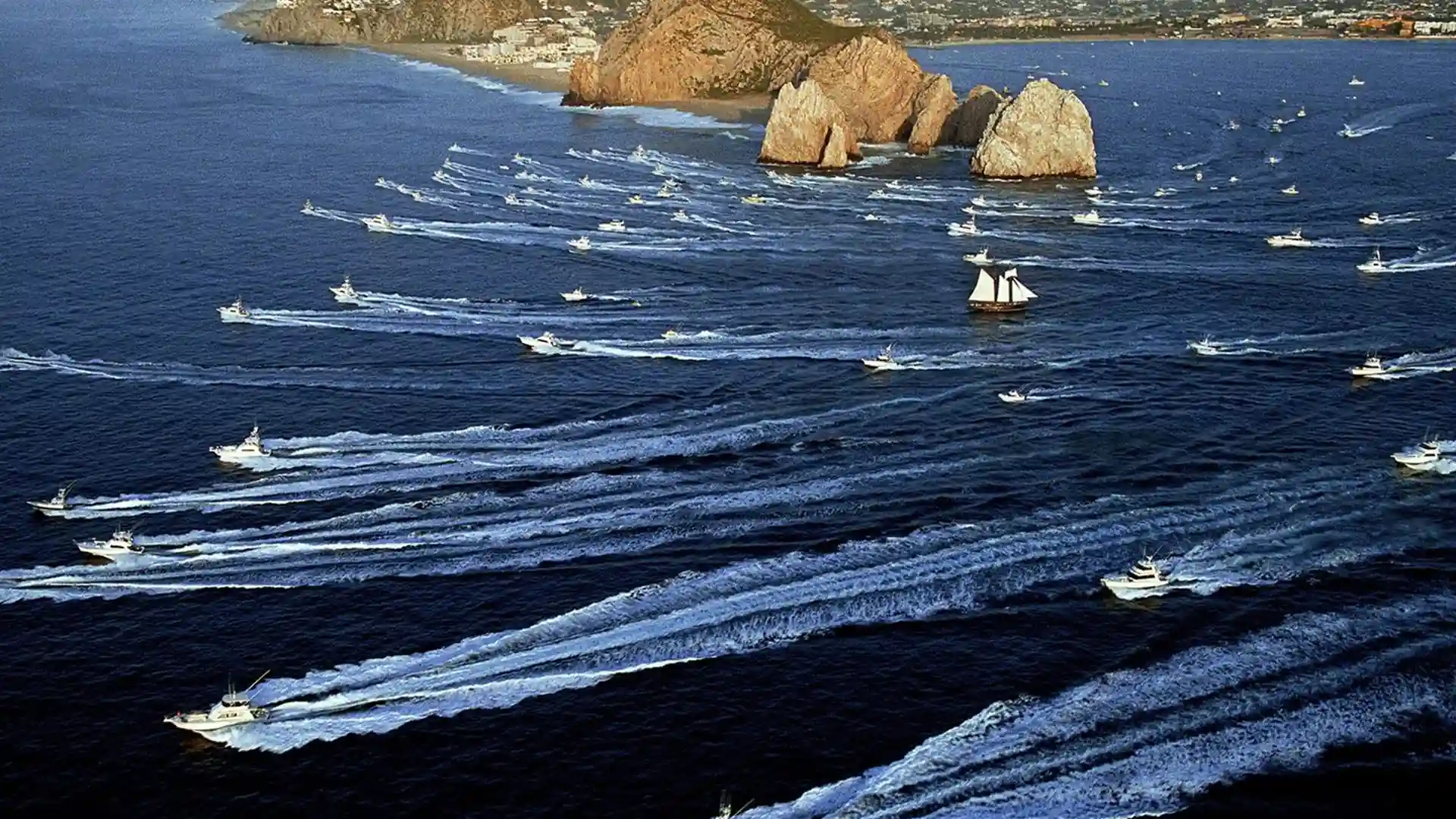 Marlin leaping from the ocean during a Cabo San Lucas sportfishing trip.