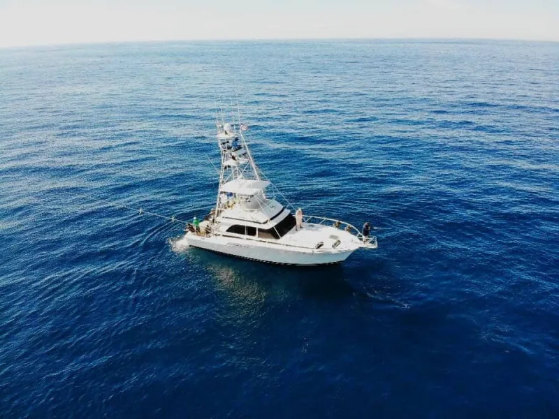 50´ Bertram "Fintastic" - Cabo fishing charter