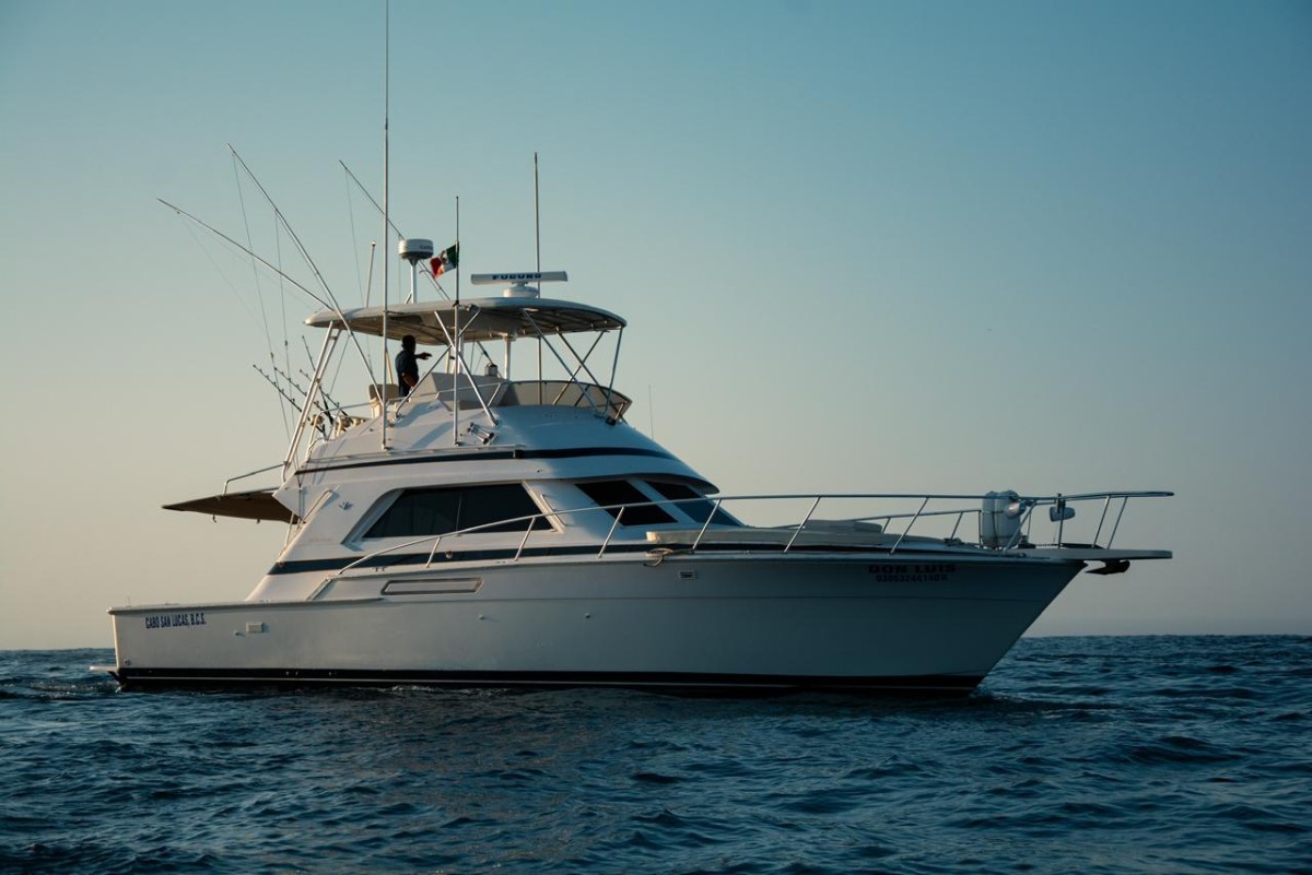 Image of 47´ Bertram "Don Luis" 2