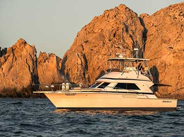 47´ Bertram "Don Luis" - fishing charter in Cabo San Lucas