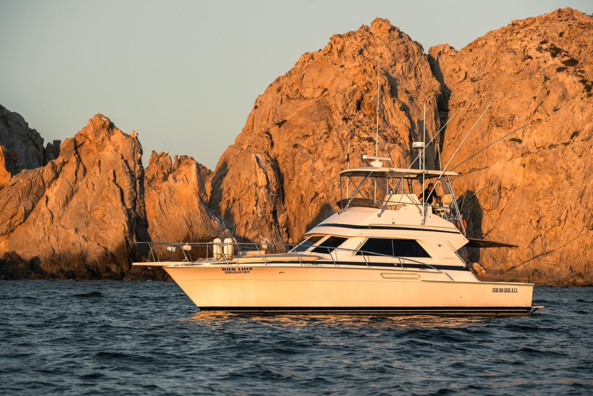 Main image of 47´ Bertram "Don Luis"