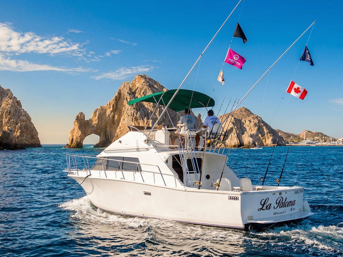 33' Bertram "La Paloma" - Cabo fishing charter