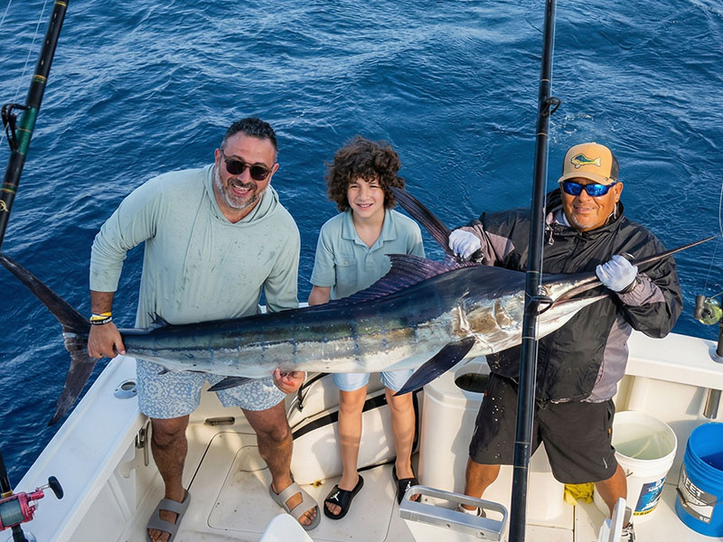 Image of 33' Bertram "La Paloma" 3