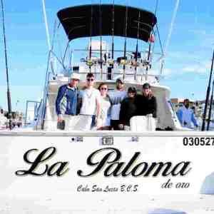 33' Bertram "La Paloma" - fishing charter in Cabo San Lucas