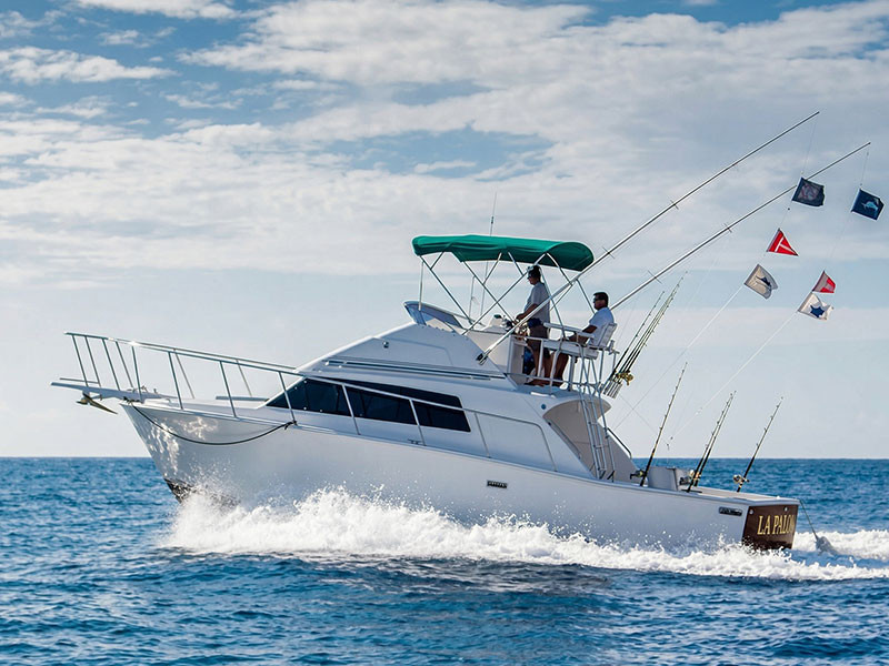 Image of 33' Bertram "La Paloma" 5